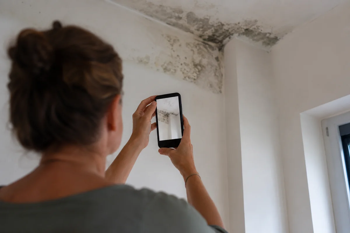A renter documenting a mold problem